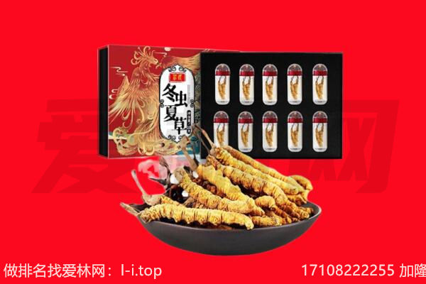 南雄市回收虫草.jpg